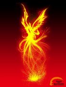 新东方烹饪 沸腾的传奇