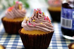 酸奶蓝莓芝士蛋糕