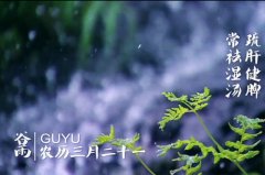 舌尖上的二十四节气之谷雨篇