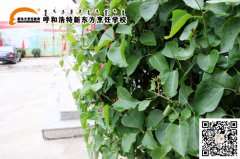 小编带你逛校园 发现不一样的呼和浩特新东方