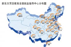 体系化就业网络 覆盖全国