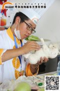 呼和浩特市首届“草原英才”烹饪技能大赛精彩赛场（二）