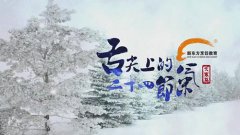 ����ϵ�24����������