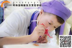 来呼和浩特新东方烹饪学校学西点，成为“白富美”