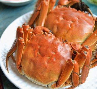清蒸大闸蟹