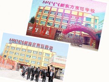 这里的美，让你目不暇接！