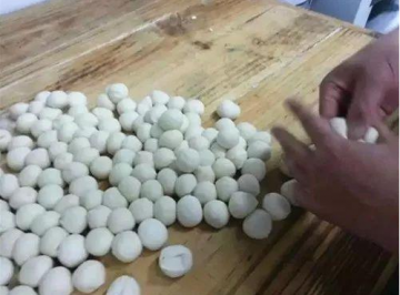 蘑菇包的制作全过程（图解）