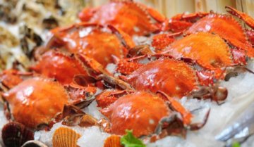 每日分享：海鲜那些事