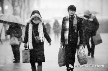 返乡青年不想再打工？去哪里？ 