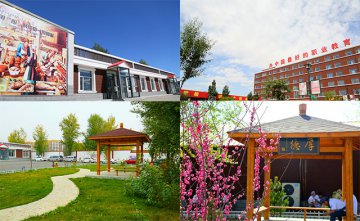 假如我没有来到这里... 