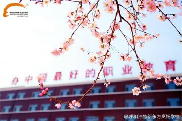 【四月】“厨”心不改，梦想在路上