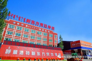 想学厨师，有哪些专业可供选择？