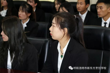 十个字总结厨师的职业生涯