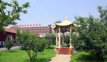 众多初高中生纷纷选择新东方，原因竟是…