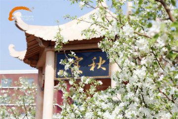 真相了|新东方厨师竟学这些！