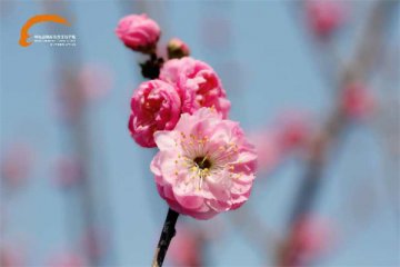 最美四月天|逆风翻盘，改变从今天开始！