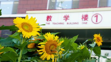 【重磅消息】同心同力，共育十全桃李校企合作签约暨开班仪式即将盛大开启