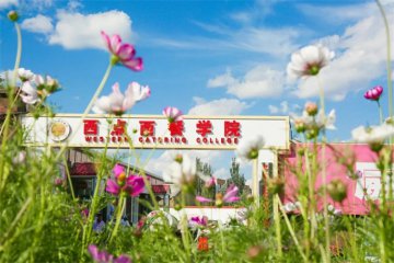 择校必看 | 2021年女生学什么专业好？