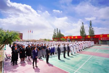 证书发放|成功的路上，我们又多了一块儿敲门砖！