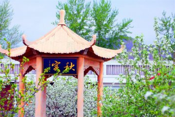 拒绝唯“分数”论，或许学门技术是个好出路！